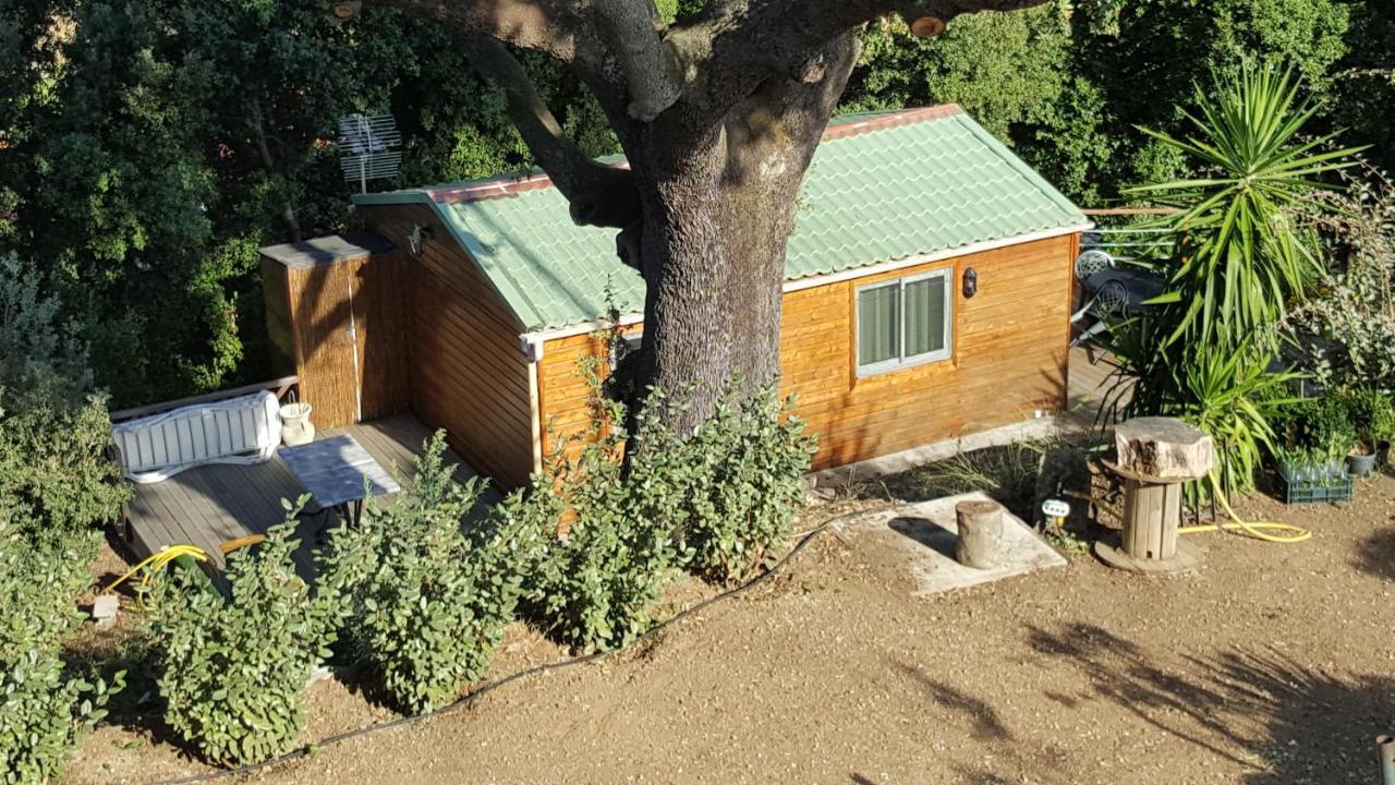 Le Petit Chalet ポルティシオ エクステリア 写真